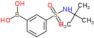 [3-(tert-butylsulfamoyl)phenyl]boronic acid