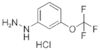 (3-TRIFLUORMETHOXY-PHENYL)-HYDRAZINHYDROCHLORID