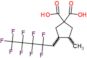 3-methyl-4-(2,2,3,3,4,4,5,5,5-nonafluoropentyl)cyclopentane-1,1-dicarboxylic acid