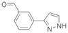 3-(1H-PYRAZOL-3-YL)BENZALDEHYDE