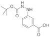 3-(2'-N-BOC-HYDRAZINO)BENZOIC ACID