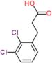 3-(2,3-dichlorophenyl)propanoic acid