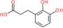 2,3-Dihydroxybenzenepropanoic acid