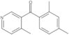 (2,4-Dimethylphenyl)(4-methyl-3-pyridinyl)methanone