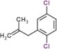 1,4-Dichloro-2-(2-methyl-2-propen-1-yl)benzene