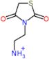 2-(2,4-dioxo-1,3-thiazolidin-3-yl)ethanaminium