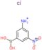 (3-Amino-5-nitrophenyl)boronic acid hydrochloride salt