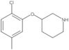 3-(2-Chloro-5-methylphenoxy)piperidine