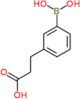 3-[3-(dihydroxyboranyl)phenyl]propanoic acid