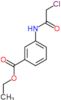 Ethyl 3-[(2-chloroacetyl)amino]benzoate