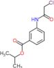 propan-2-yl 3-[(chloroacetyl)amino]benzoate