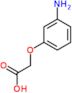 (3-aminophenoxy)acetic acid