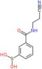 {3-[(2-cyanoethyl)carbamoyl]phenyl}boronic acid