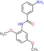 3-amino-N-(2,5-dimethoxyphenyl)benzamide