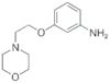 3-(2-MORPHOLIN-4-YLETHOXY)ANILINE