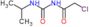 2-chloro-N-(propan-2-ylcarbamoyl)acetamide