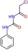 2-chloro-N-(phenylcarbamoyl)acetamide