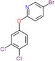 5-bromo-2-(3,4-dichlorophenoxy)pyridine