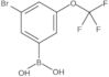 B-[3-Bromo-5-(trifluoromethoxy)phenyl]boronic acid