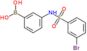 B-[3-[[(3-Bromophenyl)sulfonyl]amino]phenyl]boronic acid