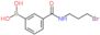 [3-(3-bromopropylcarbamoyl)phenyl]boronic acid