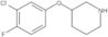 3-(3-Chloro-4-fluorophenoxy)piperidine