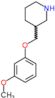 3-[(3-methoxyphenoxy)methyl]piperidine