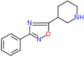 3-(3-phenyl-1,2,4-oxadiazol-5-yl)piperidine