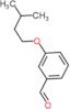 3-isopentyloxybenzaldehyde