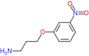 3-(3-Nitrofenoxi)-1-propanamina