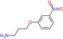 3-(3-nitrophenoxy)propan-1-amine