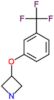 3-[3-(trifluoromethyl)phenoxy]azetidine