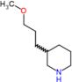 3-(3-methoxypropyl)piperidine