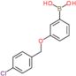 {3-[(4-chlorobenzyl)oxy]phenyl}boronic acid