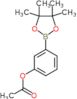 Phenol, 3-(4,4,5,5-tetramethyl-1,3,2-dioxaborolan-2-yl)-, 1-acetate