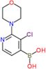 (3-chloro-2-morpholino-4-pyridyl)boronic acid