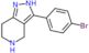 3-(4-bromophenyl)-4,5,6,7-tetrahydro-2H-pyrazolo[4,3-c]pyridine