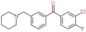 (3-chloro-4-fluoro-phenyl)-[3-(1-piperidylmethyl)phenyl]methanone