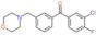 (3-chloro-4-fluoro-phenyl)-[3-(morpholinomethyl)phenyl]methanone