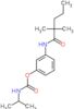 3-[(2,2-dimethylpentanoyl)amino]phenyl propan-2-ylcarbamate