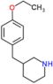 3-[(4-ethoxyphenyl)methyl]piperidine