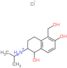 1,6-dihydroxy-5-(hydroxymethyl)-N-(propan-2-yl)-1,2,3,4-tetrahydronaphthalen-2-aminium chloride