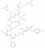 dynorphin A amide (1-9), Cys(2)-Cys(5)-MeArg(7)-Leu(8)-