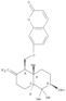 2H-1-Benzopyran-2-one,7-[[(1R,4aS,6R,8aR)-6-(acetyloxy)decahydro-5,5,8a-trimethyl-2-methylene-1-na…