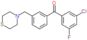 (3-chloro-5-fluoro-phenyl)-[3-(thiomorpholinomethyl)phenyl]methanone