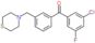 Methanone, (3-chloro-5-fluorophenyl)[3-(4-thiomorpholinylmethyl)phenyl]-