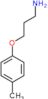 3-(4-methylphenoxy)propan-1-amine
