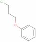 (3-chloropropoxy)benzene