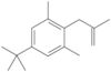 5-(1,1-Dimethylethyl)-1,3-dimethyl-2-(2-methyl-2-propen-1-yl)benzene