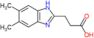 3-(5,6-dimethyl-1H-benzimidazol-2-yl)propanoic acid